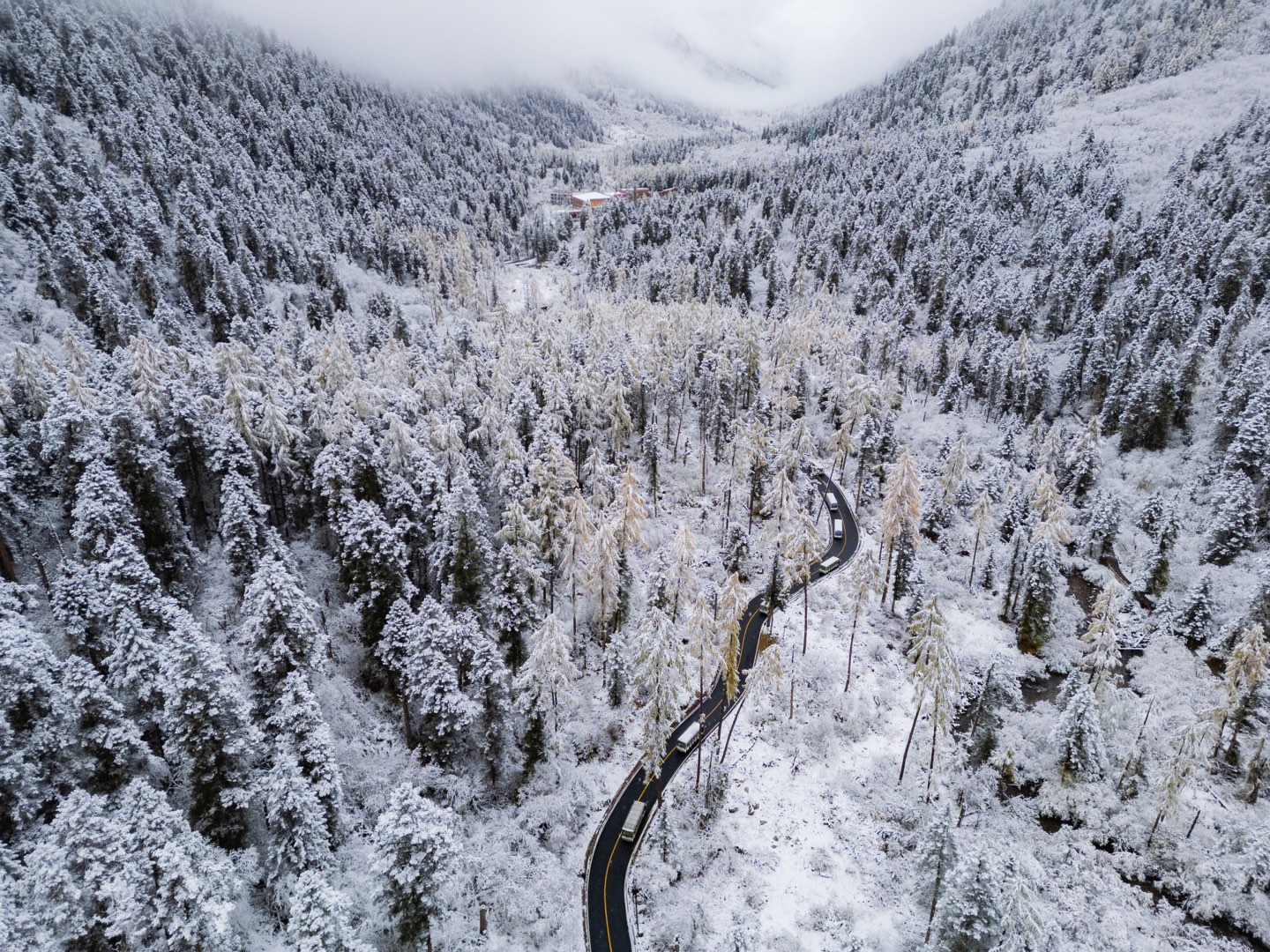 川西 第 2 张照片