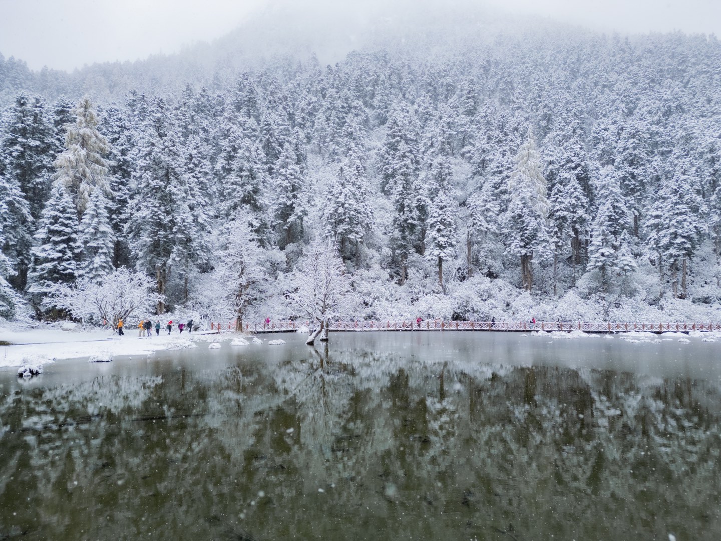川西 第 3 张照片