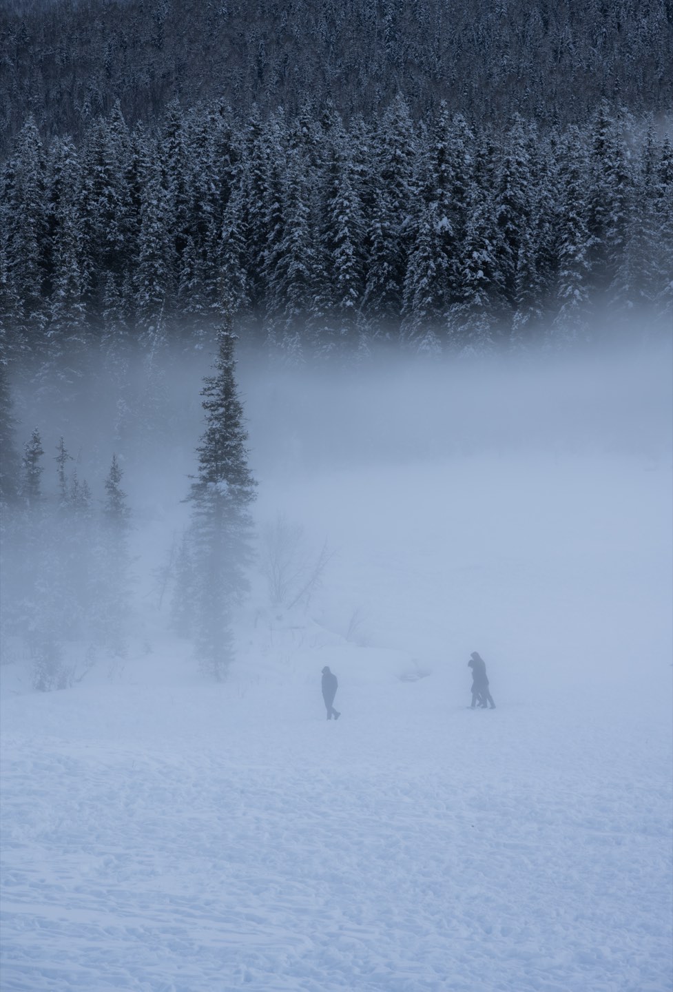 新疆阿勒泰 第 2 张照片