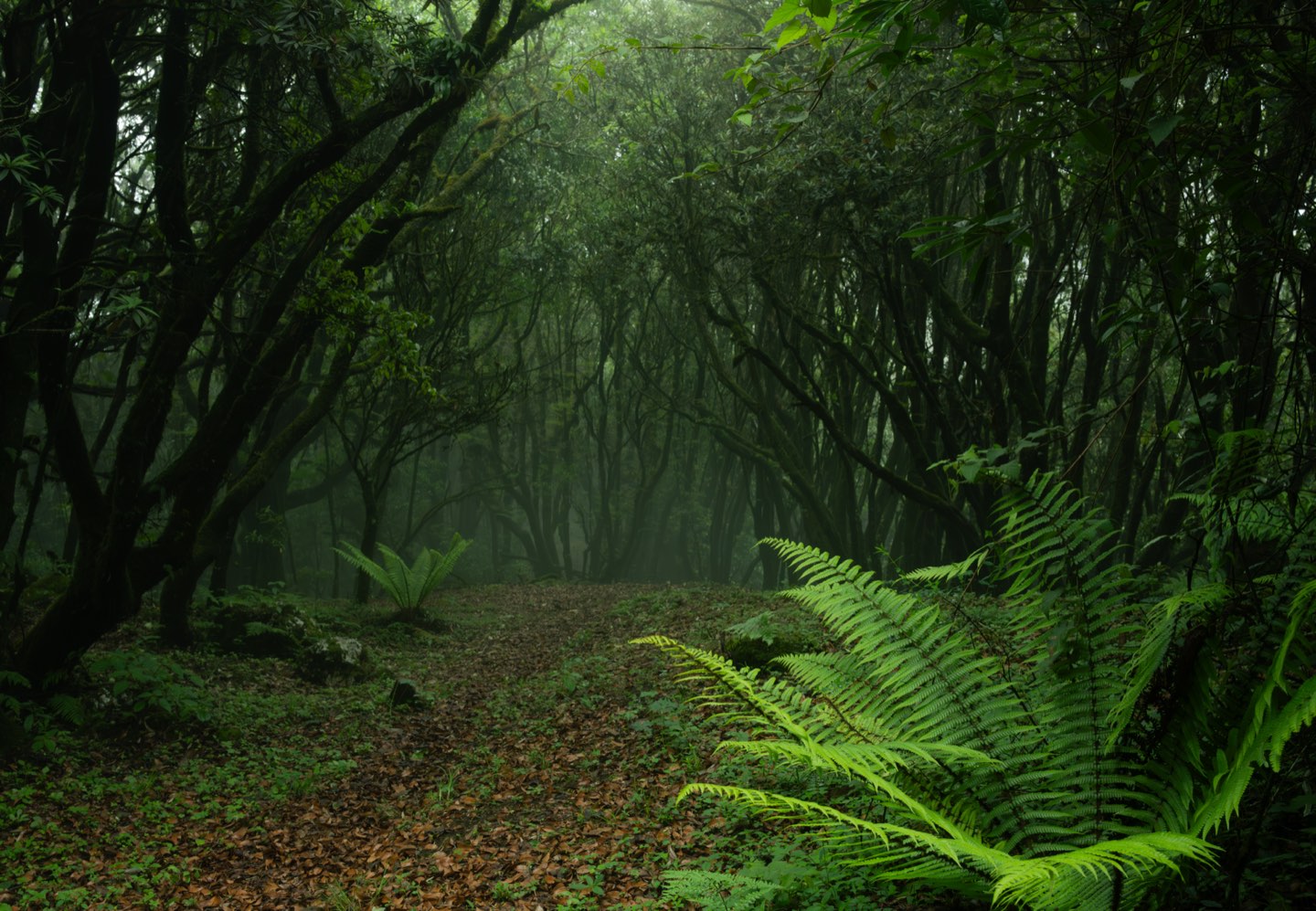 云南腾冲 第 2 张照片